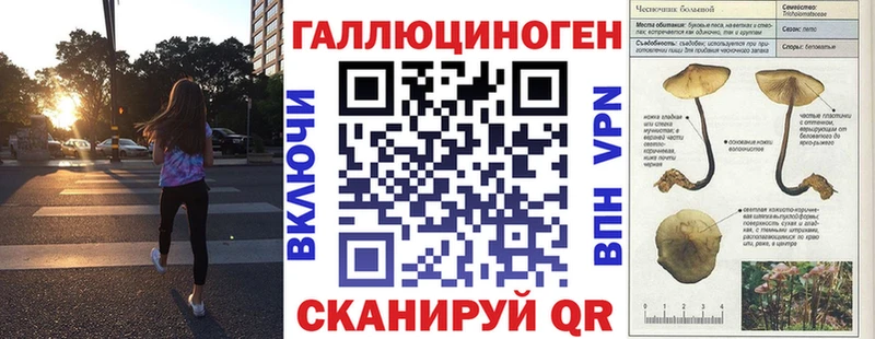 omg ТОР  Урюпинск  Псилоцибиновые грибы мицелий 