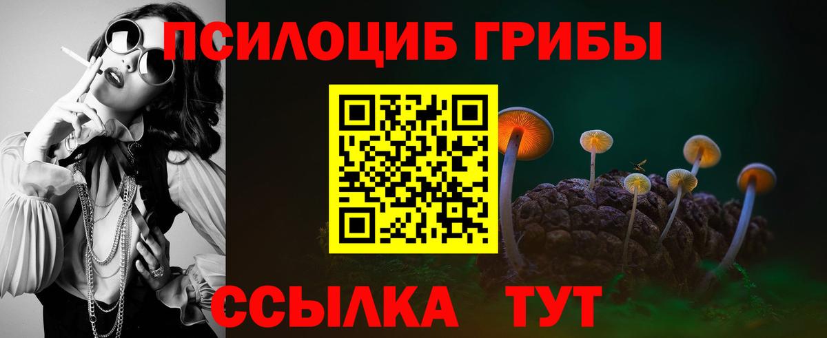 Галлюциногенные грибы Magic Shrooms  Галлюциногенные грибы GOLDEN TEACHER  Вход с VPN  Урюпинск 
